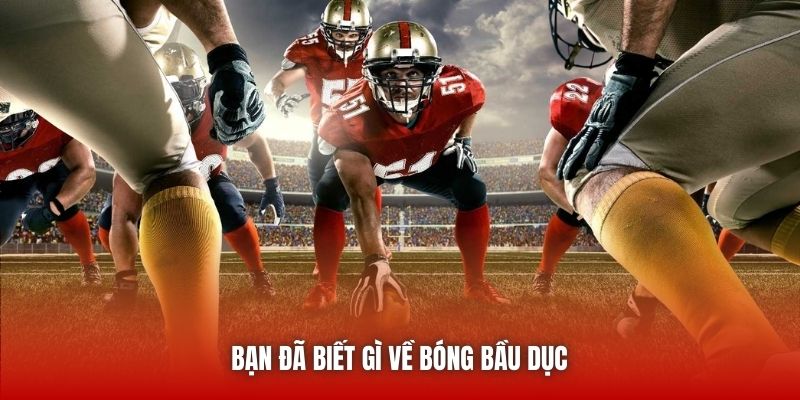 Bạn đã biết gì về bóng bầu dục