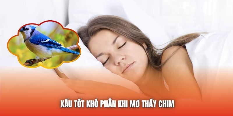 Xấu tốt khó phân khi mơ thấy chim