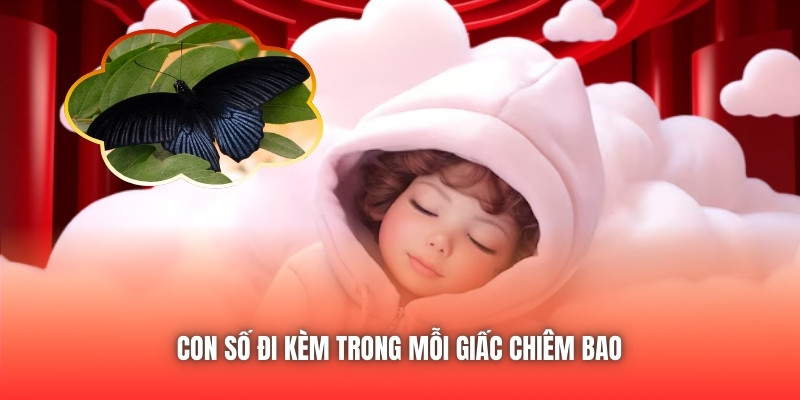 Con số đi kèm trong mỗi giấc chiêm bao 